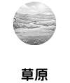 草原